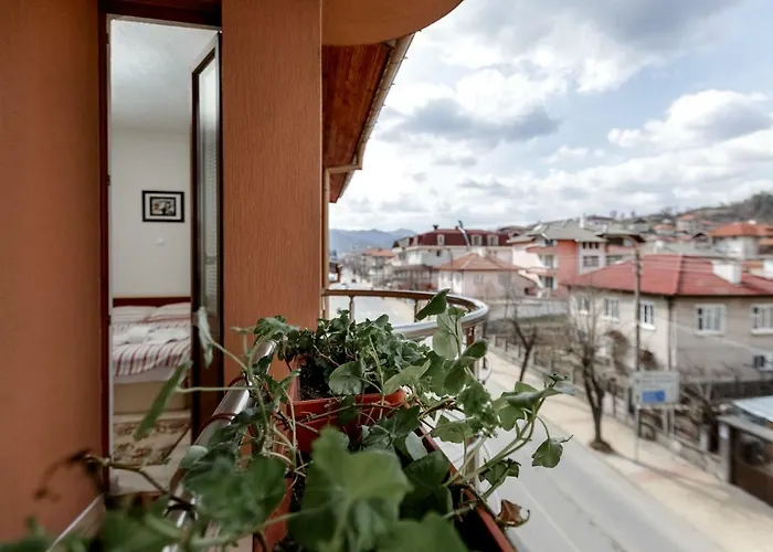 Ξενοδοχείο Family Alex 2*