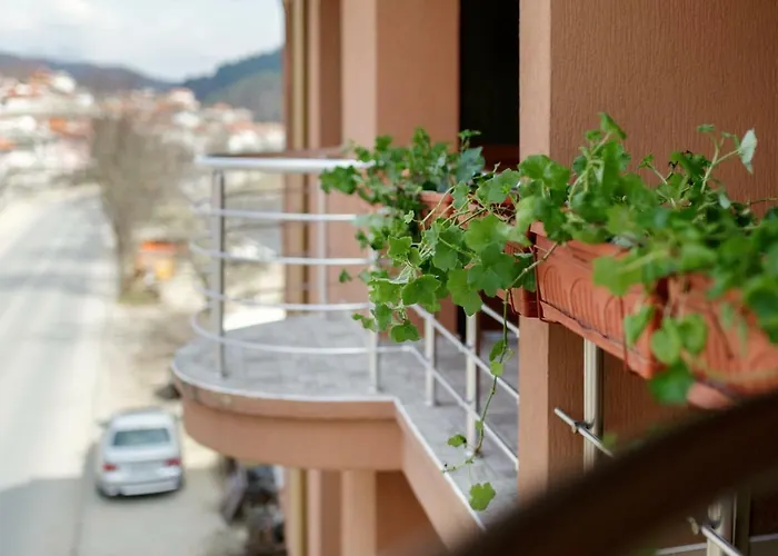 Family Alex Ζλάτογκραντ